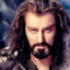 ThoriN
