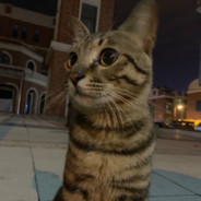 十八岁天才钓手