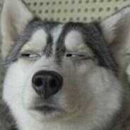 嗷嗷嗷嗷李嗷呜