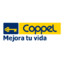 Cobrador de Coppel