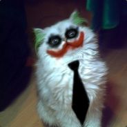 avatar h4f