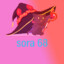 sora68