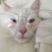 是塞拉不是干拉