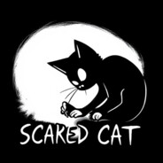 scared cat