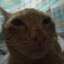 nikit0s883