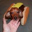 i love hot dogs