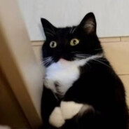 螺旋升天双响炮