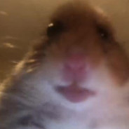 Warhamster