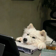 超级无敌狂暴战龙