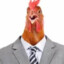 Ilikechickens