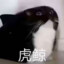 茚垂四烃