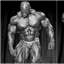 Ronnie coleman