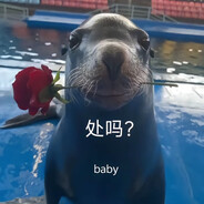 傻福海狮(神秘海茄子)