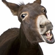 [SVIP]疯狂的小毛驴