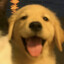 arko