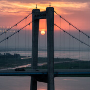 抓住脆脆鲨头左右摇摆