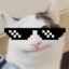 Sh1ndoM