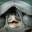 Derpieturtle
