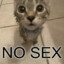 NO SEX