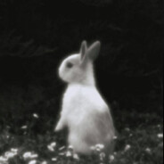 zloy 3,14kachu