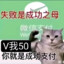 正在缓冲