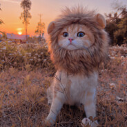 有脑子的小天才