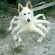 Bakkanaali avatar