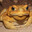 ToadishToad
