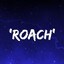 ✧Tori Roach