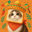 nyanpoop