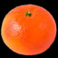 Onion