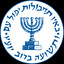 Mossad Agent