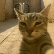 多看一眼就会爆炸