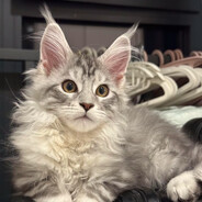 Reboot.Void_0x2E-Core