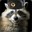 SlavicRaccoon's avatar