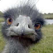 Chrillesuave avatar