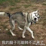 我想吃俩饼
