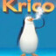 Krico=setso de pinguinos albinos