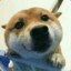 小陈Cc丶