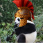 thepandario