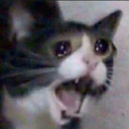 cry