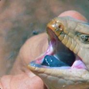 robot - steam id 76561197968263803
