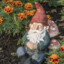 GGN GNOME