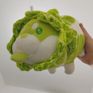 你是哪快小饼干