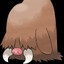 Skeuddion Cochignon