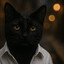 el Gato Negro