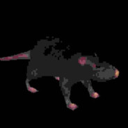 ratlordScoot
