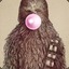 Wookie Turtle