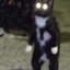 Edemsz