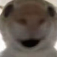 严浩翔阴暗小拉